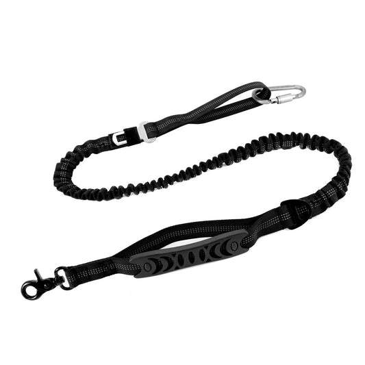 Multifunctional bunjee dog leash